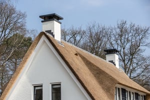 Gekeimde prefab schoorsteen